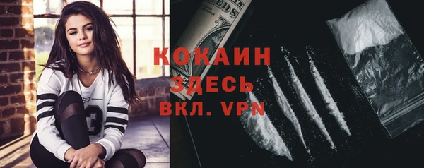 крисы Абаза