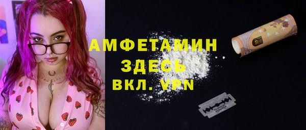 крисы Абаза