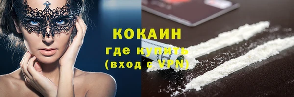 крисы Абаза