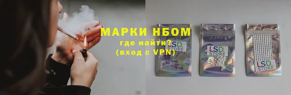 крисы Абаза
