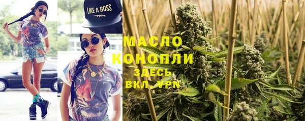 крисы Абаза