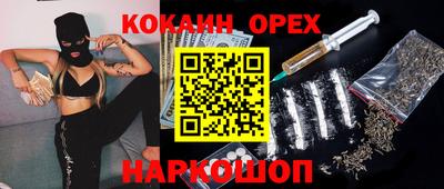 сатива Тверь