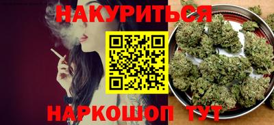 сатива Тверь