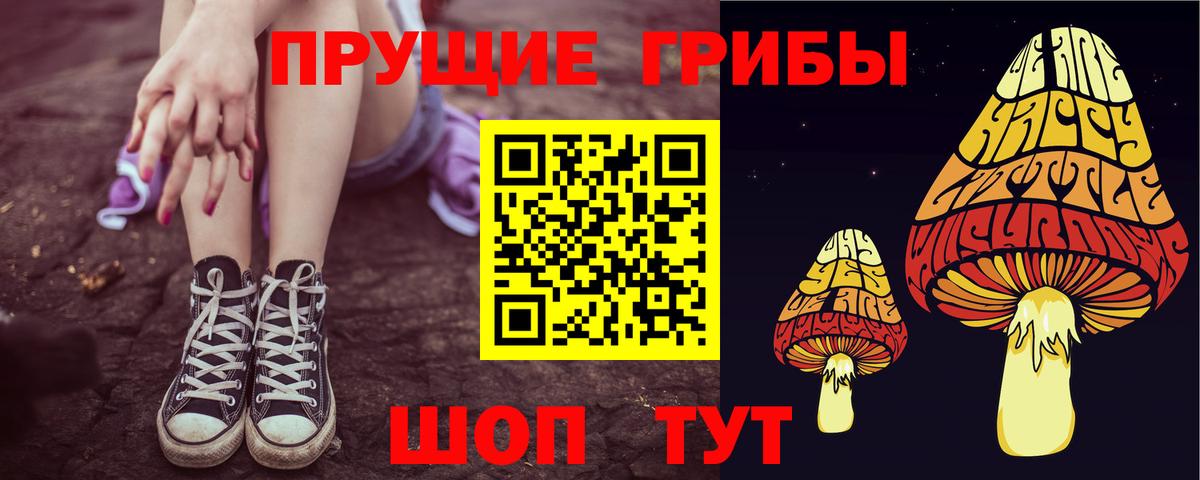 Усть-Кут  Псилоцибиновые грибы Magic Shrooms  Вход с VPN 